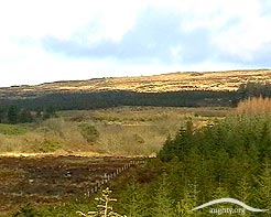 Caher