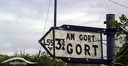 Near Gort