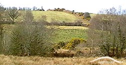 Tulla